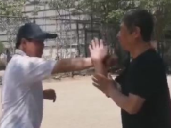太极技击基本功-王成