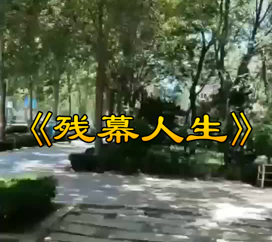 《残幕人生》